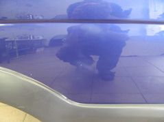 DAIHATSU TERIOS LIFT DRZWI TYL PRAWY NK8 97-06