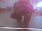 NISSAN X-TRAIL T30 DRZWI PRZOD PRAWY 01-07 KPL