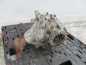 VOLVO XC90 2.5T MOST PRZOD REDUKTOR BQ3EA 30735299 02-14