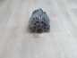 RENAULT MEGANE SCENIC II 1.4 1.6 ALTERNATOR 8200588648