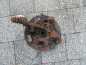 VOLVO XC90 2.4 2.9 T6  PIASTA ZWROTNICA TYL LEWA P30683359 02-14