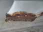FORD TRANSIT MK6 VI BLOTNIK PRZOD PRAWY 00/06