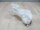 MAZDA 6 GG 02-07 ZBIORNIK PLYNU DO SPRYSKIWACZY 855341-054