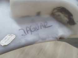 JAGUAR XF ZBIORNIK PLYNU SPRYSKIWACZY 8X23-17B613-A