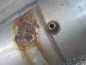 DAF LF 45 55 EURO 5 KATALIZATOR DPF FAP TLUMIK 300364-A 4931990