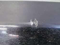 VOLVO C70 06-13 LISTWA PROGU NAKLADKA PROGOWA LEWA 30787150 467-26