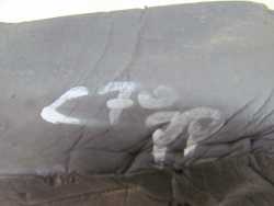 VOLVO C30 S40 V50 C70 06-13 WYGLUSZENIE PIANKA OSLONA BLOTNIKA PRAWA 8683732