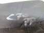 VOLVO C30 S40 V50 C70 06-13 WYGLUSZENIE PIANKA OSLONA BLOTNIKA PRAWA 8683732