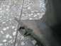 VOLVO C70 06-13 NADKOLE PRZOD LEWE 30687469