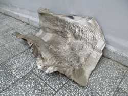 VOLVO S80 II 06-13 OSLONA TERMICZNA TLUMIKA 8G9N-U11442-CA