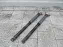 VOLVO C30 S40 V50 C70 AMORTYZATOR AMORTYZATORY TYL 31201047 KPL
