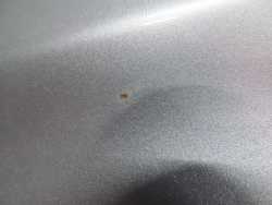 SUBARU FORESTER II SG LIFT BLOTNIK PRZOD LEWY 2L7 05-08