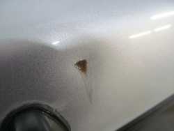 SUBARU FORESTER II LIFT SG KLAPA BAGAZNIKA TYL KPL 01G 06-08
