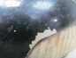 VOLVO S40 V50 04-07 LUSTERKO LEWE 8 PIN MAT EU