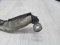 VOLVO C30 S40 V50 1.6 HDI KLEMA PLUSOWA