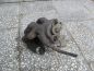 PEUGEOT 607 LIFT ZACISK HAMULCOWY TYL LEWY 99-10