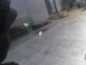 VOLVO S60 V70 XC I LIFT 00-10 MASKA POKRYWA SILNIKA 467-46