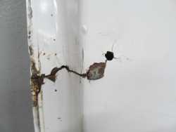 DUCATO BOXER JUMPER H2 DRZWI TYL TYLNE LEWE 249 06-14