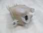DUCATO BOXER JUMPER 06-14 ZBIORNIK WYROWNAWCZY PLYNU