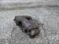 VOLVO S60 V70 XC 00- 2.4 D5 ZACISK HAMULCOWY PRZOD LEWY 9209724
