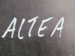SEAT ALTEA ZDERZAK PRZOD HALOGENY 04-09