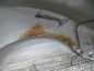 MAZDA 6 GH BLOTNIK LEWY PRZOD 22V 08-12
