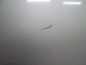 CHRYSLER GRAND VOYAGER IV LIFT DRZWI PRZOD LEWY 05-07
