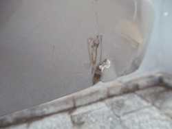 OPEL VECTRA C LIFT ZDERZAK PRZOD HALOGENY KPL Z157 05-08