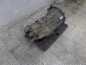 IVECO DAILY 3.0 HPi SKRZYNIA BIEGOW 6S400 65C 06-14