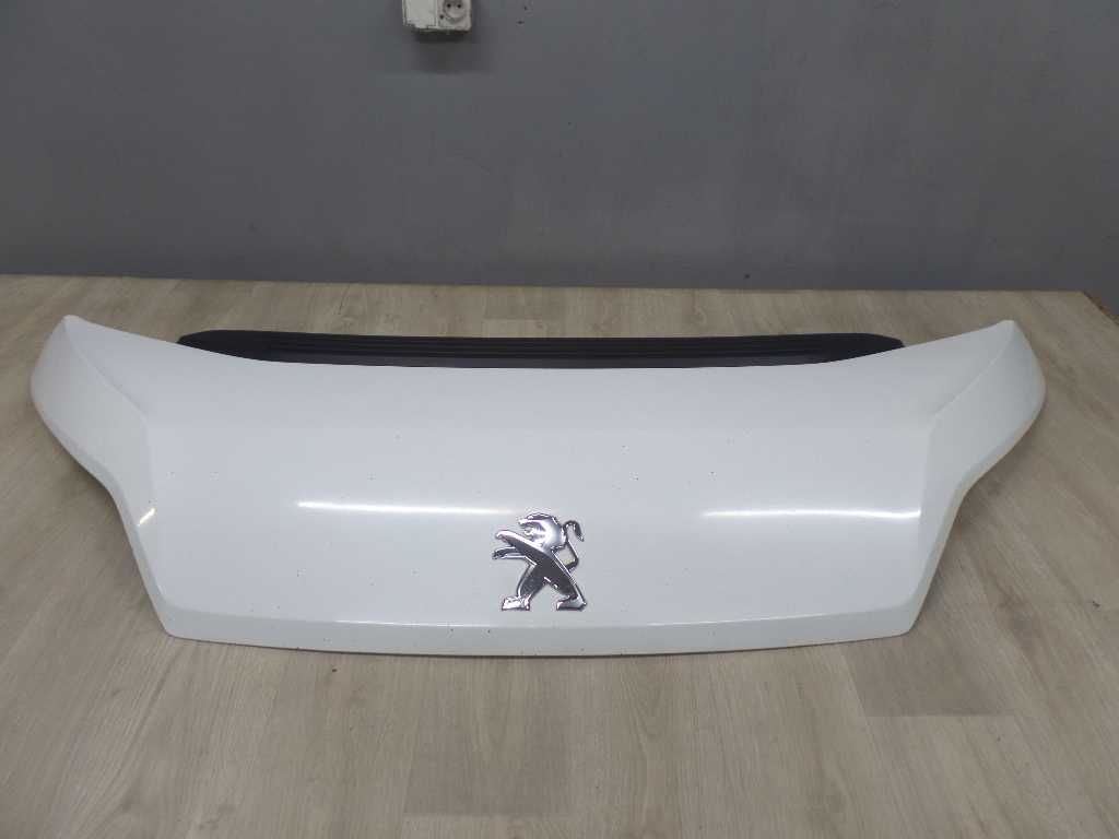 DUCATO BOXER MAXI LIFT 14-19 MASKA 249