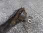 VOLVO S80 V70 III AWD XC70 07- 14 PIASTA ZWROTNICA WAHACZ TYL LEWY