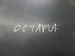 SKODA OCTAVIA KOMBI II LIFT TAPICERKA OSLONA KLAPY BAGAZNIKA TYL 04-13 1Z9867977