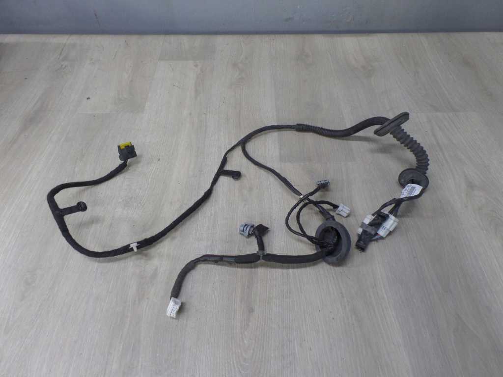 NISSAN QASHQAI J10 07-14 INSTALACJA WIAZKA DRZWI PRAWY PRZOD 24125JD05E