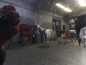 AUDI A3 8P LIFT 5D MASKA POKRYWA SILNIKA LY9B 05-08