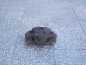 TOYOTA AVENSIS VERSO ZACISK HAMULCOWY PRZOD PRAWY 01-07