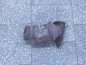 FIAT DUCATO BOXER JUMPER 3.0 M-JET 06- KATALIZATOR KAT 3000003281