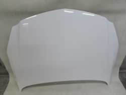 OPEL INSIGNIA MASKA POKRYWA SILNIKA Z40R 08-13 DO ZALOZENIA