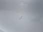 FORD FIESTA MK7 VII DRZWI PRZOD PRAWE KPL 69 08-17 DO ZALOZENIA