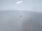 FORD TRANSIT CUSTOM 13-17 BLOTNIK PRAWY PRZOD AA