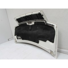 VW LT 2D0 96-06 MASKA POKRYWA SILNIKA GRILL ATRAPA BIALA IGLA