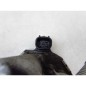 OPEL ASTRA IV K J ZAFIRA C 1.4 T PRZEPUSTNICA 0280750499 55565489
