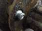 ISUZU NPR NQR NKR N75 5.2 07-18 MANUAL MOST DYFER NAPEDOWY TYL ABS 17.5
