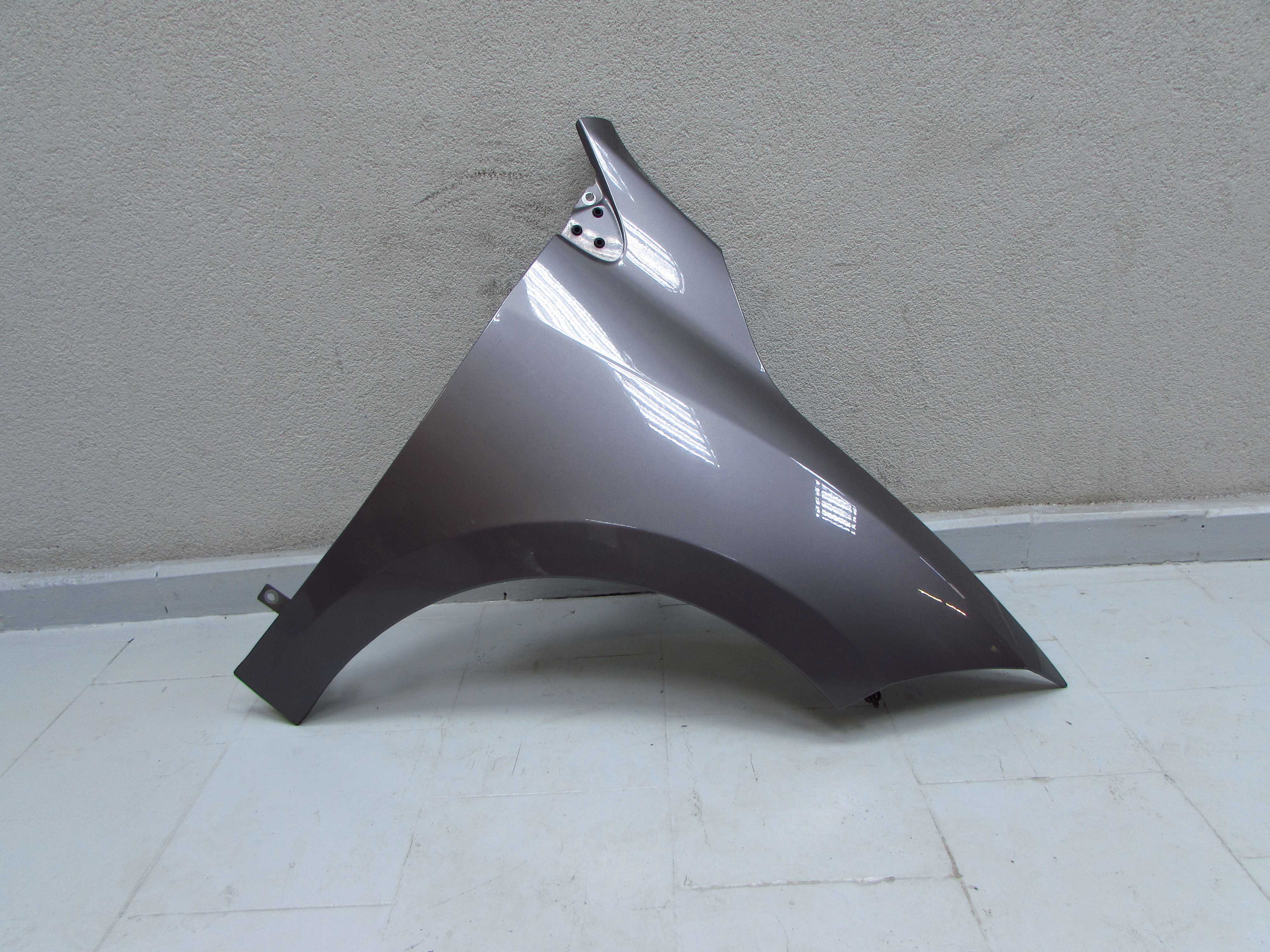 RENAULT MEGANE III 08-16 BLOTNIK PRZOD PRAWY TEKNG