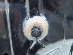 TOYOTA RAV4 III 06-09 MASKA POKRYWA SILNIKA 202