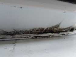 PEUGEOT 206 HB 3D 98-09 DRZWI PRZOD PRAWY EWBP