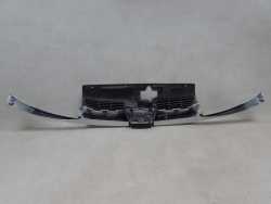 PEUGEOT 206 98-09 GRILL ATRAPA CHLODNICY EWBP