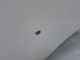MAN TGL TGM TGA 8-180 07-12 DRZWI LEWE PRZOD KPL