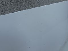 FORD GALAXY MK4 S-MAX 15-19 MASKA POKRYWA SILNIKA EM2B-16K692-AB FROZEN WHITE H7