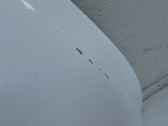 FORD GALAXY MK4 S-MAX 15-19 MASKA POKRYWA SILNIKA EM2B-16K692-AB FROZEN WHITE H7