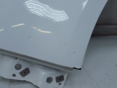FORD GALAXY MK4 15-19 BLOTNIK PRZOD LEWY FROZEN WHITE H7